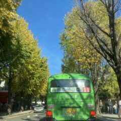 야간 운전 처음 해봤어요 후기 이미지