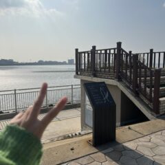 남편 대신 운전 시작 후기 이미지