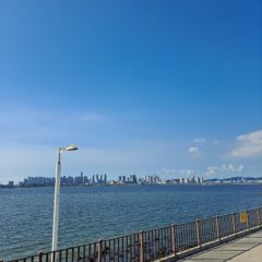 가족 탐방으로 시작한 운전 후기 이미지