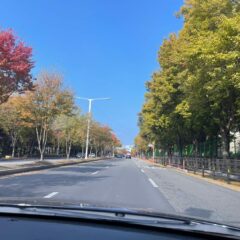 가족을 위한 운전 시작 후기 이미지