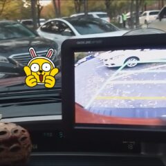 7년 장롱면허 탈출! 후기 이미지