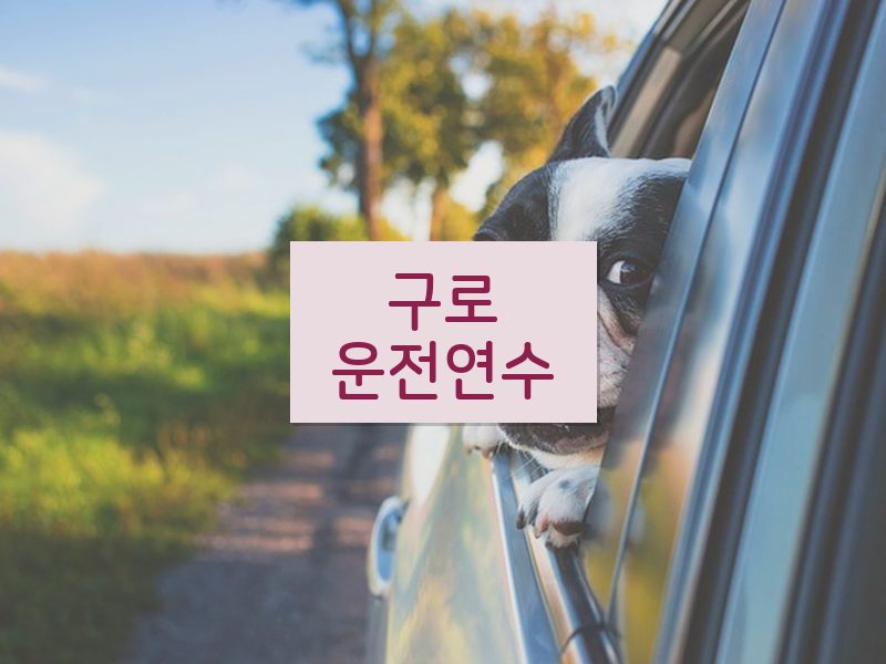 구로운전연수 후기