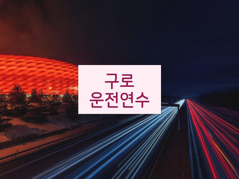 구로운전연수 후기