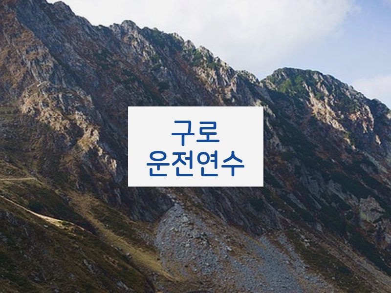 구로운전연수 후기