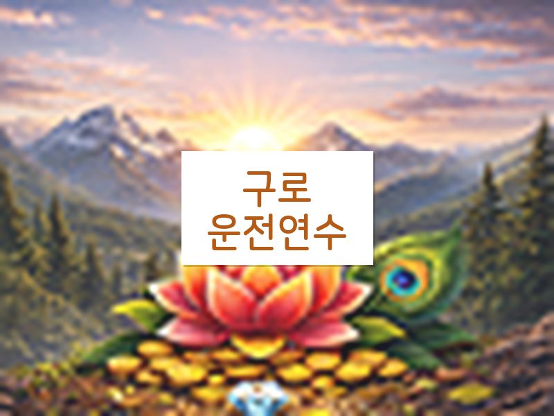 구로운전연수 후기